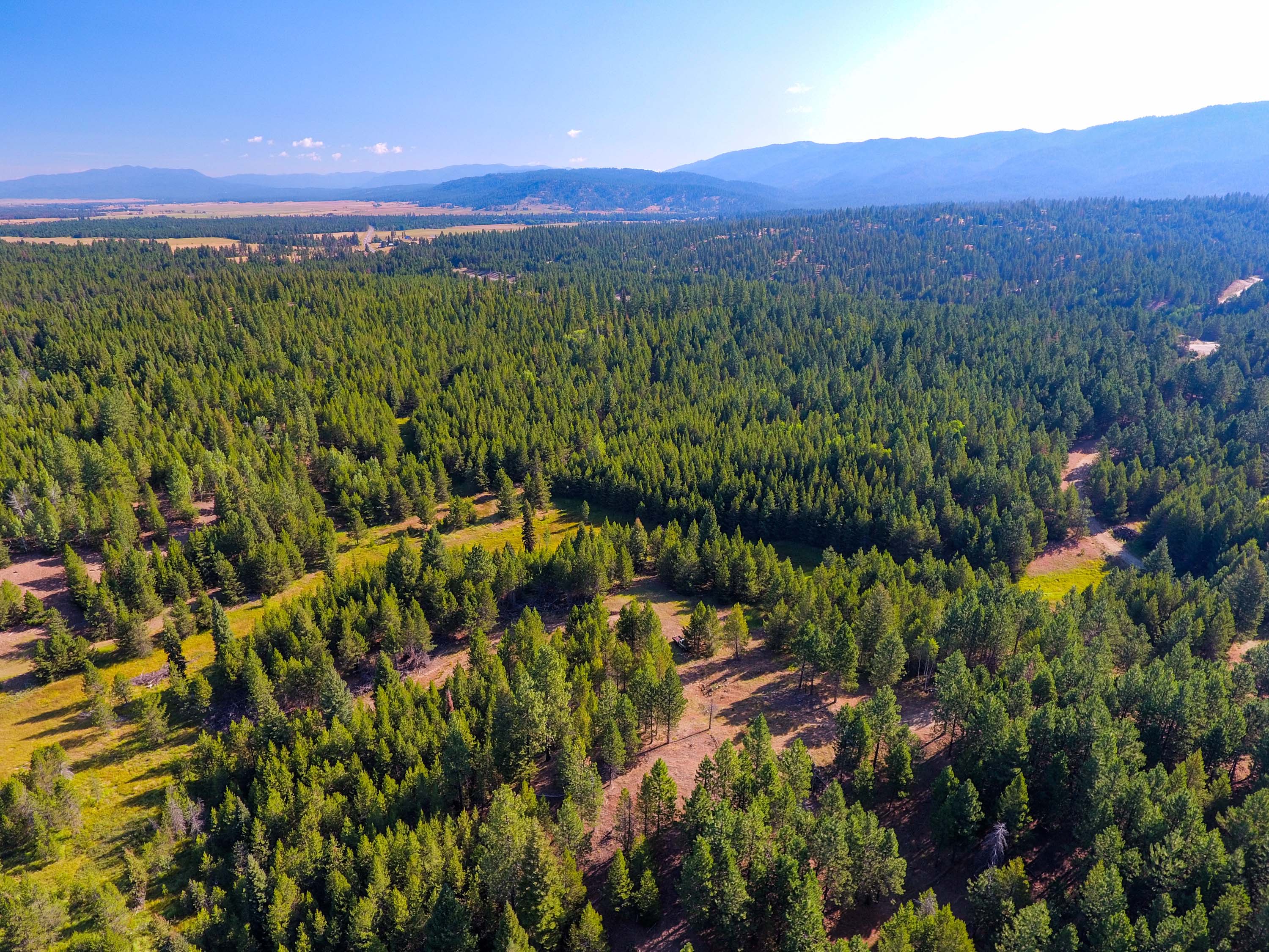 Cascade Lake Realty Bare Land 15 Acres and Up