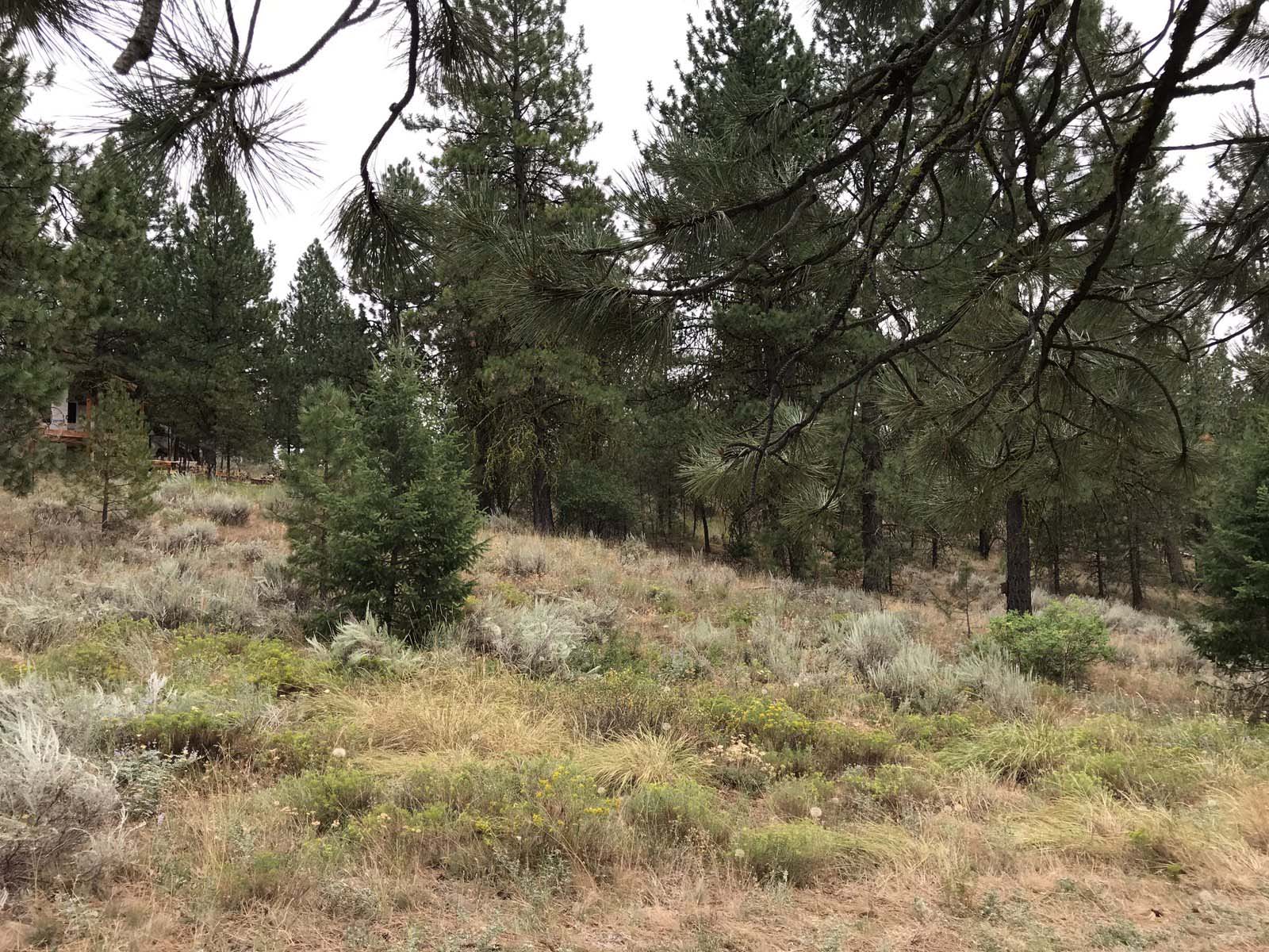 Cascade Lake Realty City of Cascade