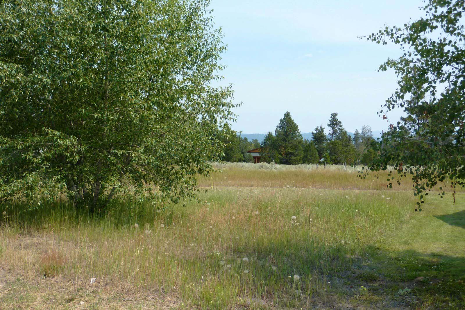 Cascade Lake Realty Ski Area Tamarack Resort