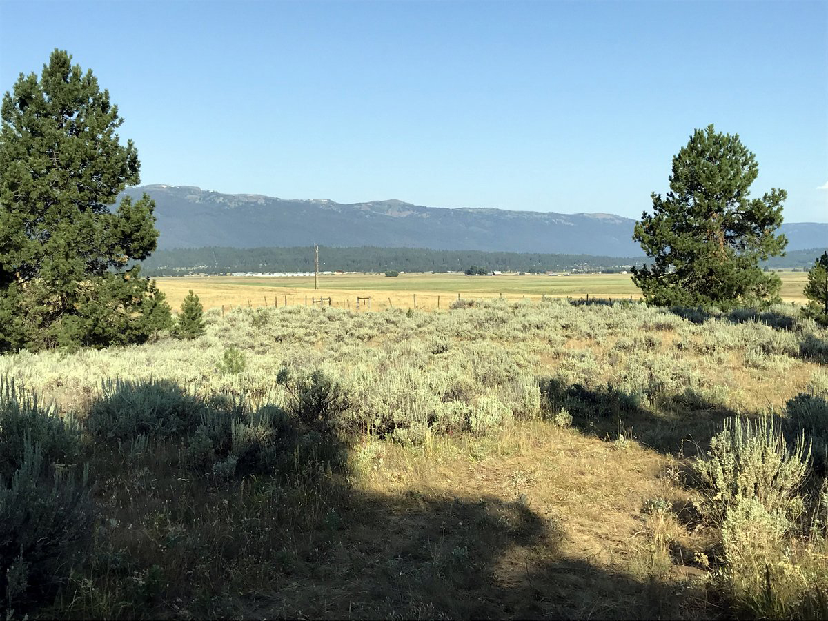 Cascade Lake Realty Whispering Pines