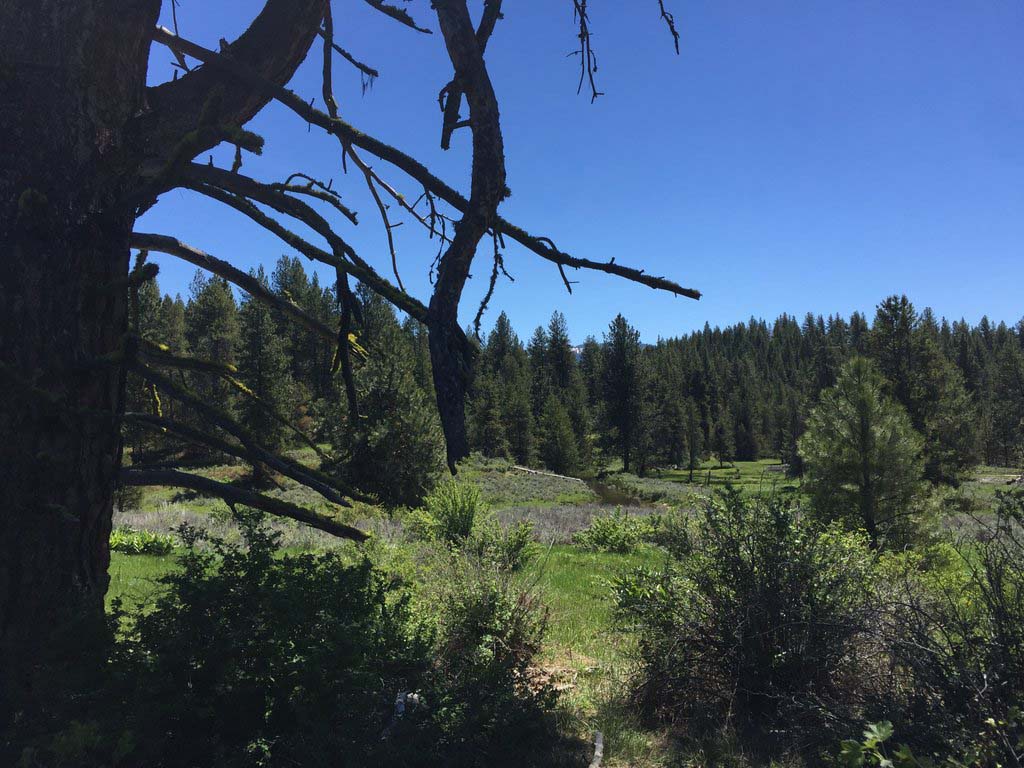 Cascade Lake Realty Whispering Pines