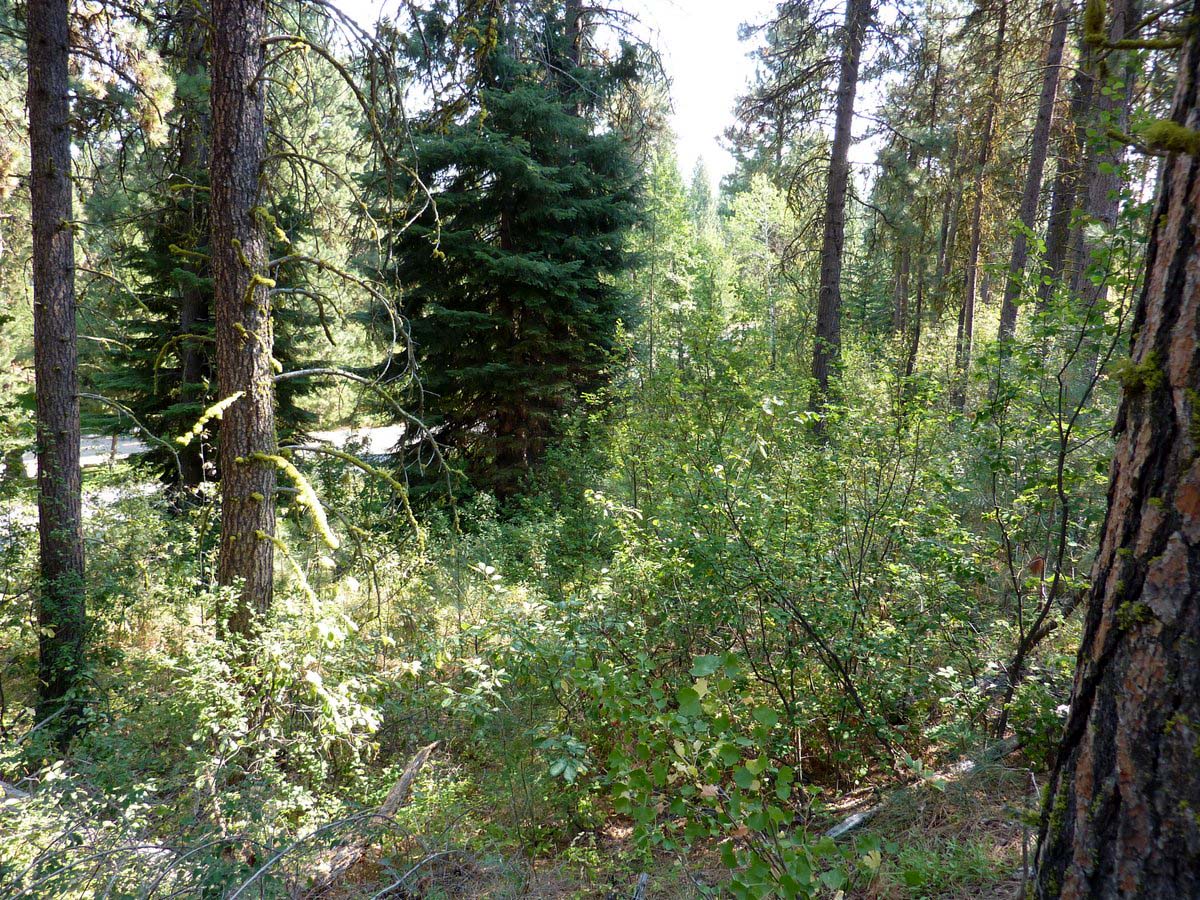 Cascade Lake Realty City of Cascade