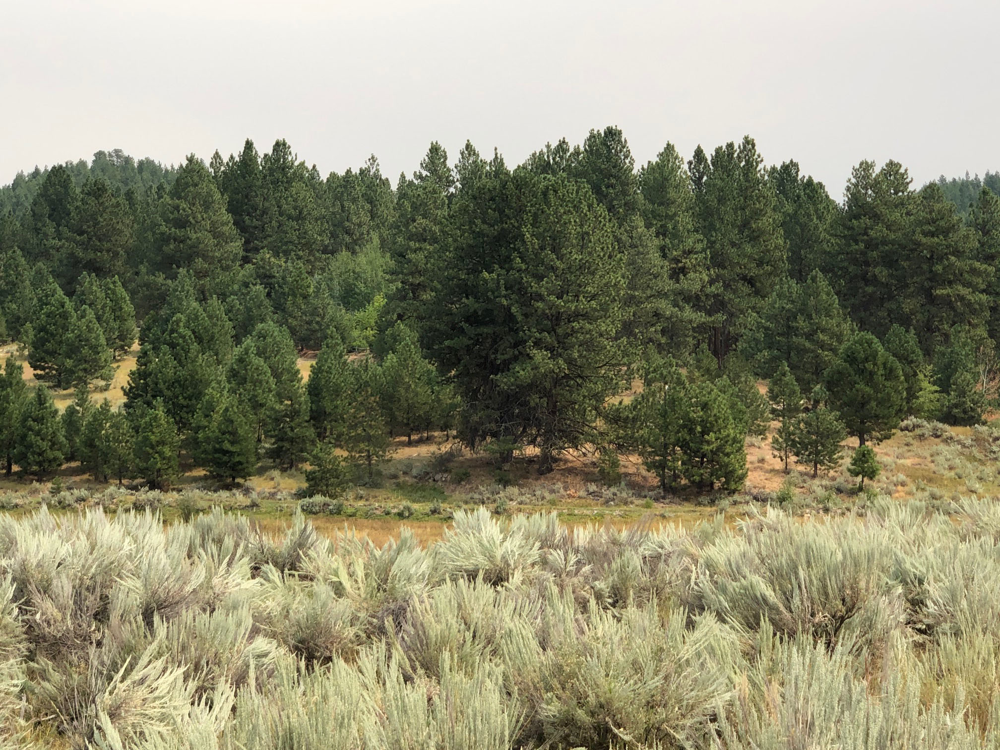 Cascade Lake Realty Pine Lakes Ranch