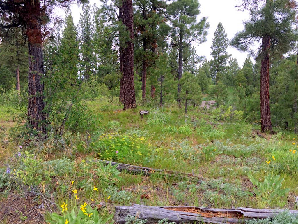 Cascade Lake Realty Whispering Pines