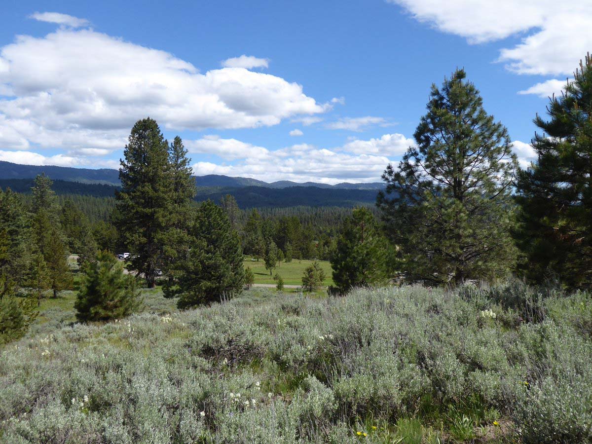 Cascade Lake Realty Whispering Pines