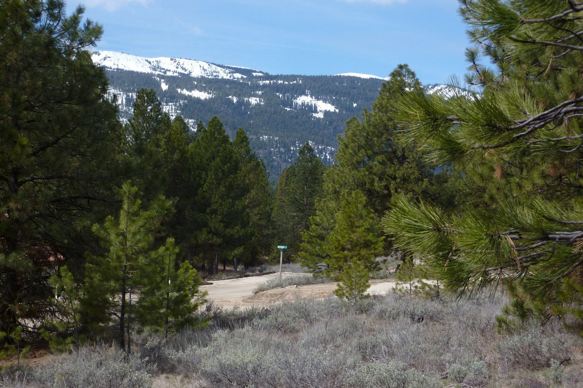 Cascade Lake Realty Ponderosas